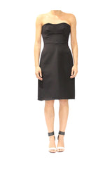 Swami Strapless Dress